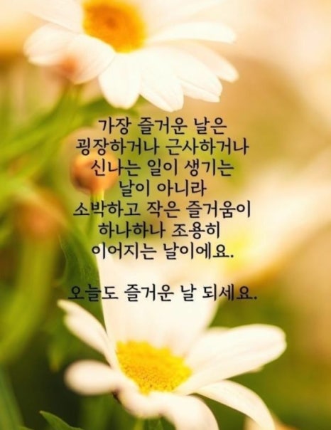 소소한이야기 이미지