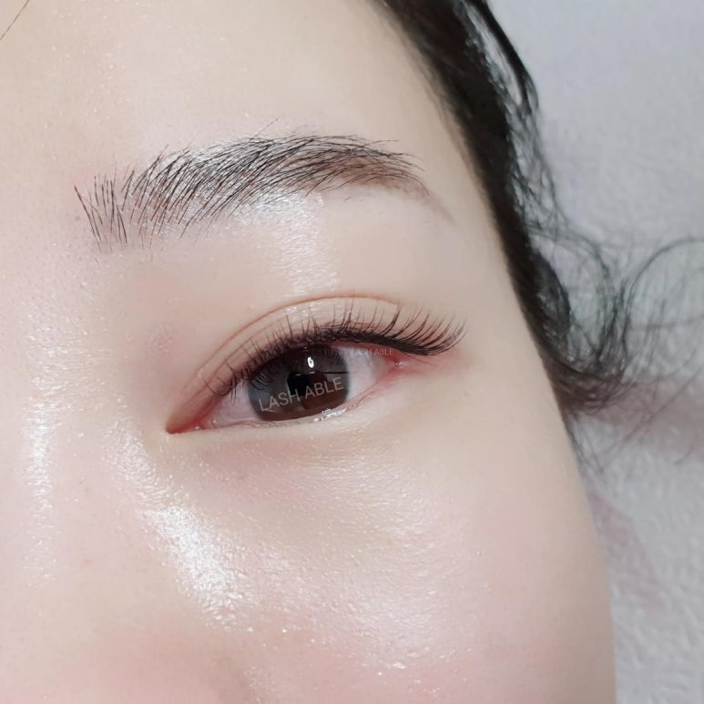래쉬톡 속눈썹 이미지