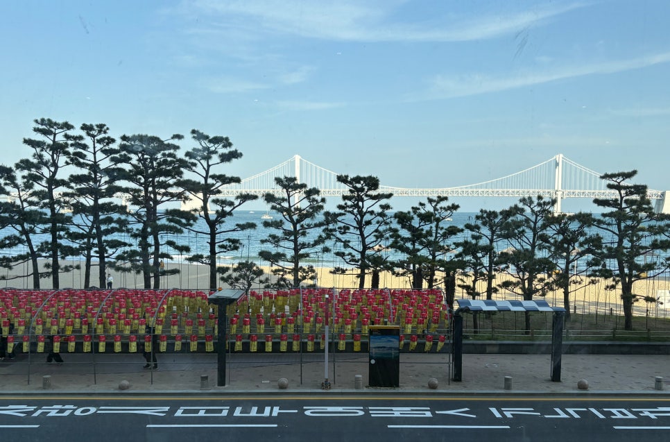 스타벅스 광안비치점 이미지