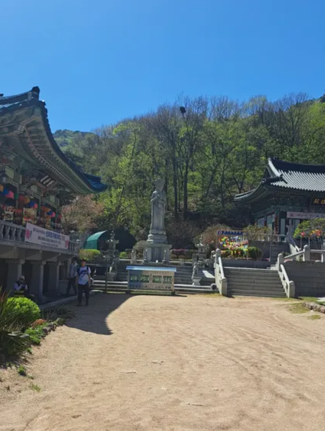 감돌의하루하루 이미지