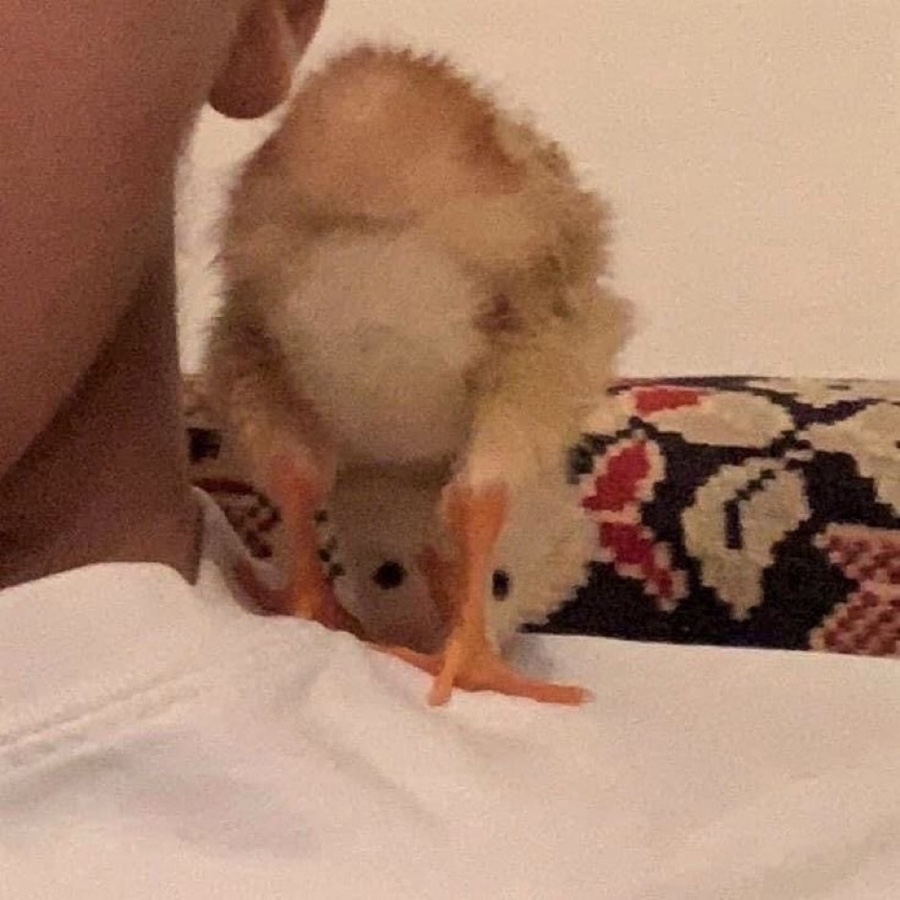 서촌 블루스 이미지