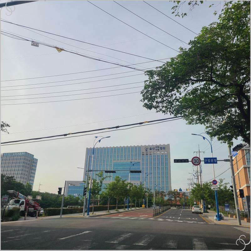 법률사무소사명 이미지
