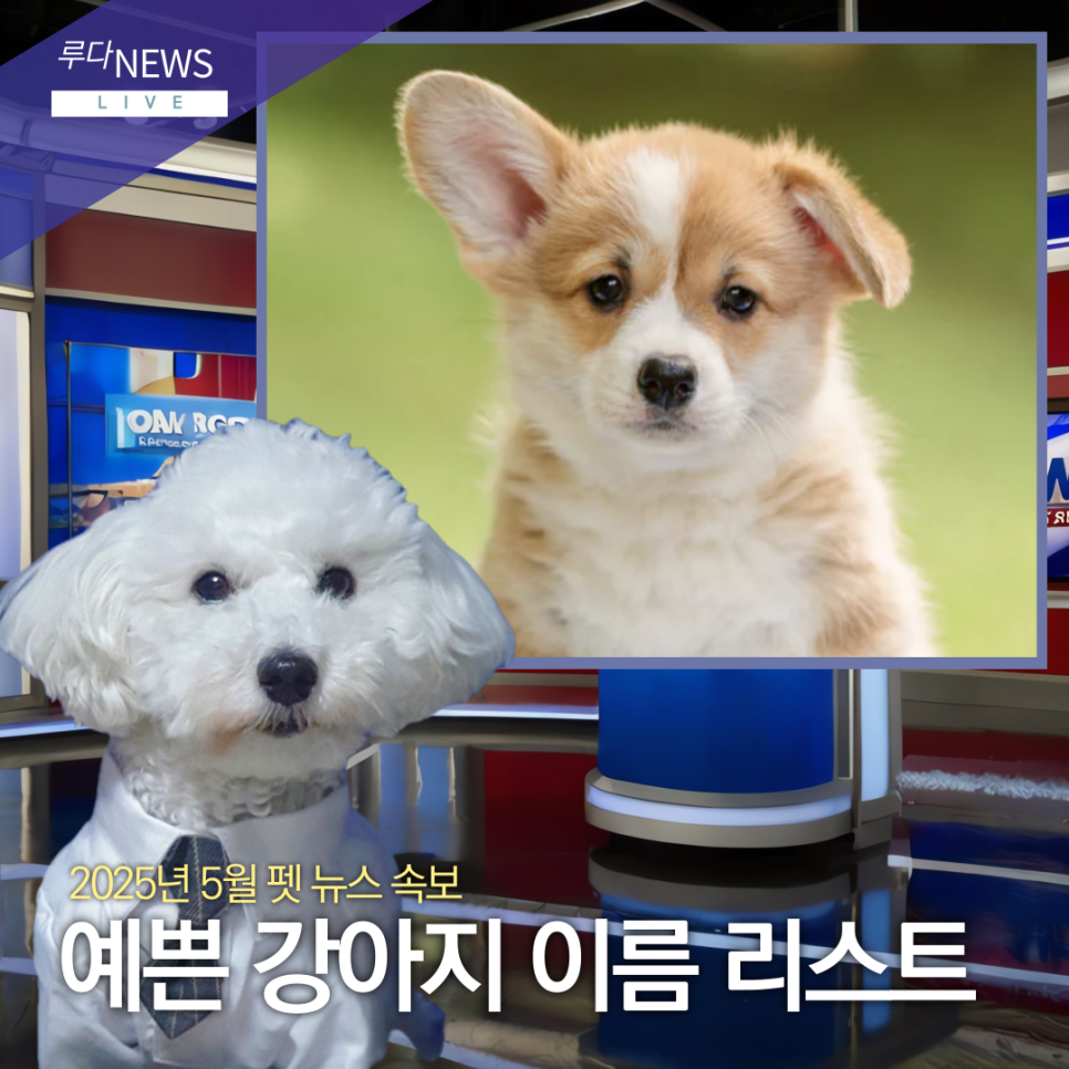 몽땅모아 이미지
