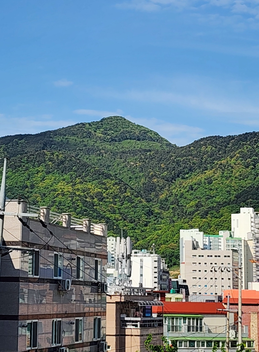 투오씨 이미지