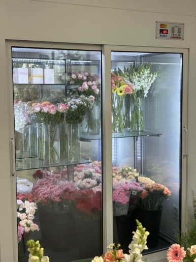 가온화 이미지