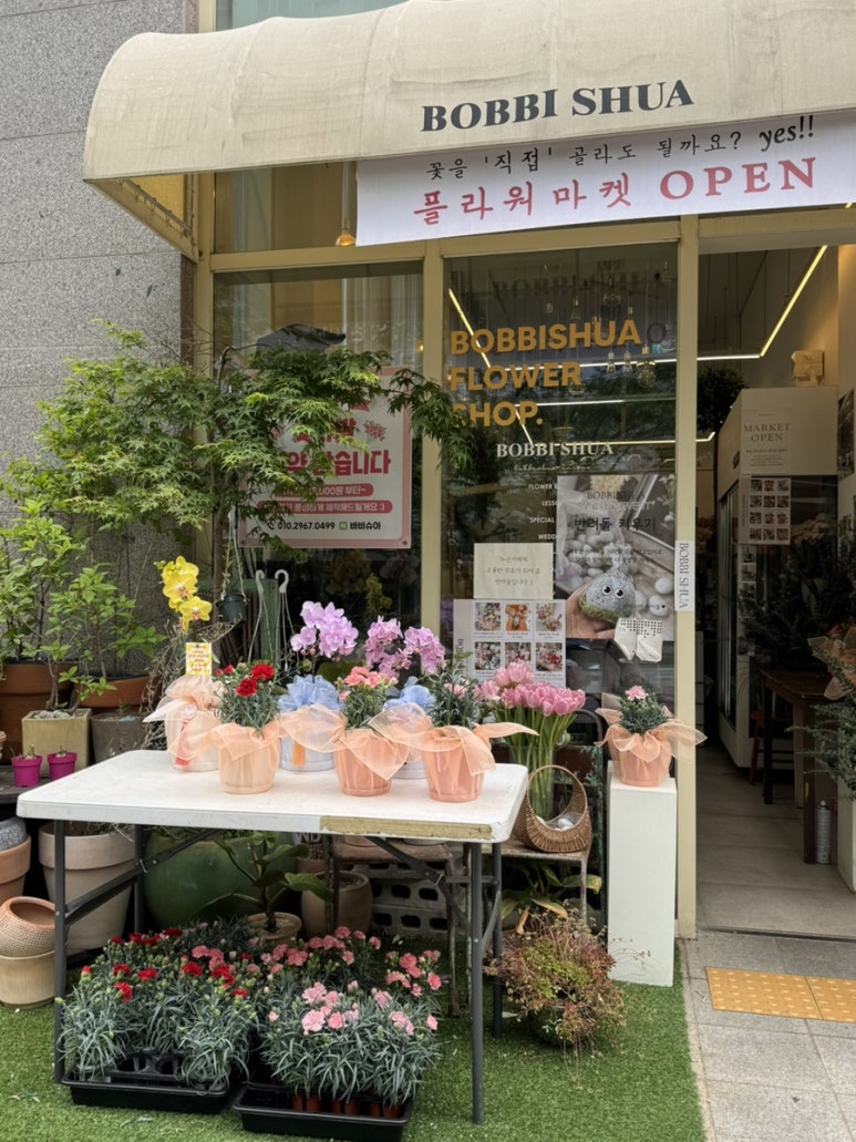 바비슈아 이미지