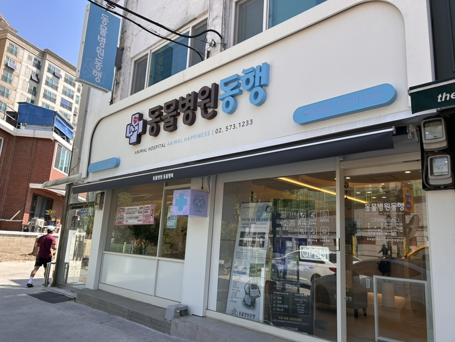 도곡동 강아지 미용 & 건강검진 후기 — 사진 2