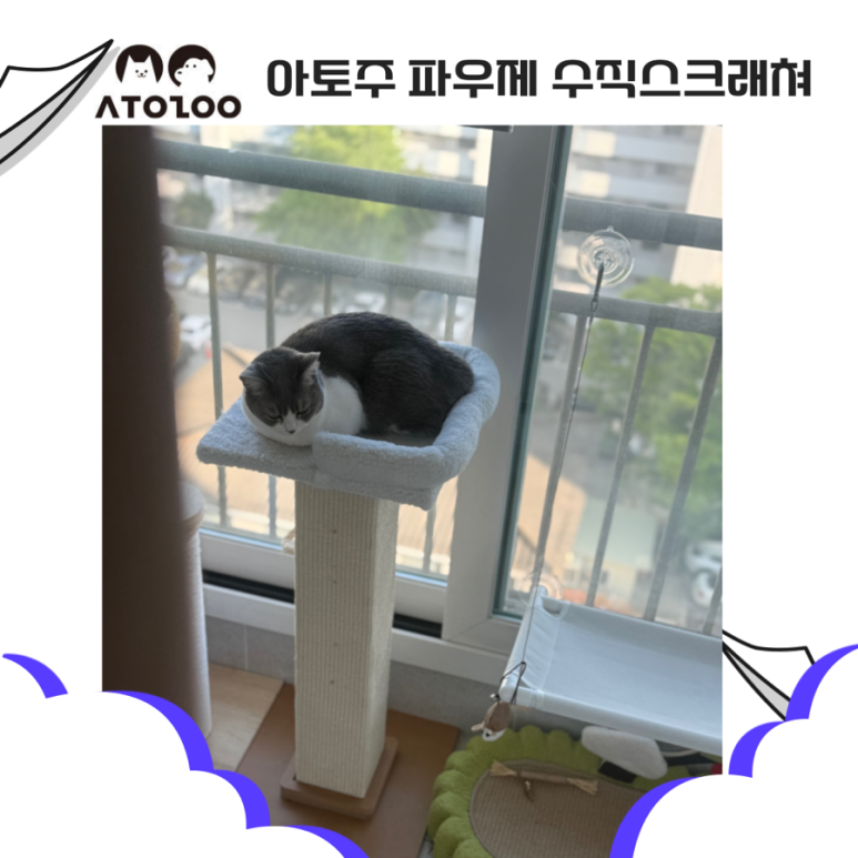 (주)파우제 이미지