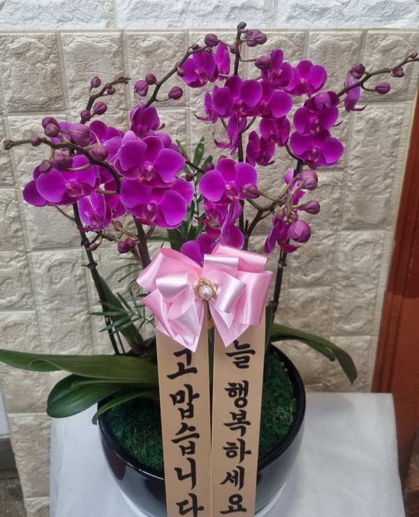 꽃배달2004플라워 이미지