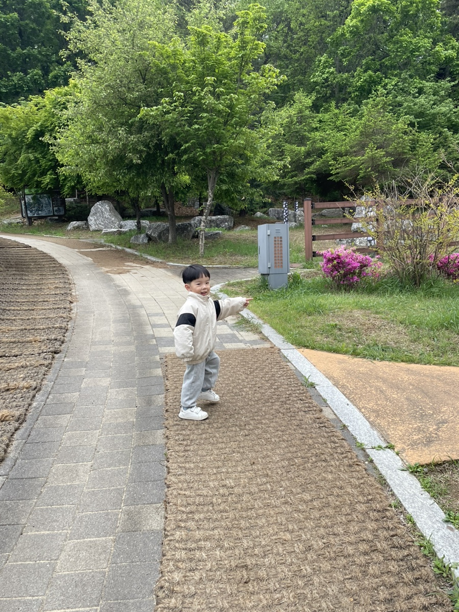 황금산 유아숲체험원 이미지