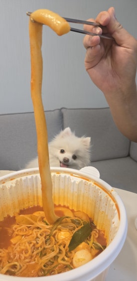 내사랑다방 이미지