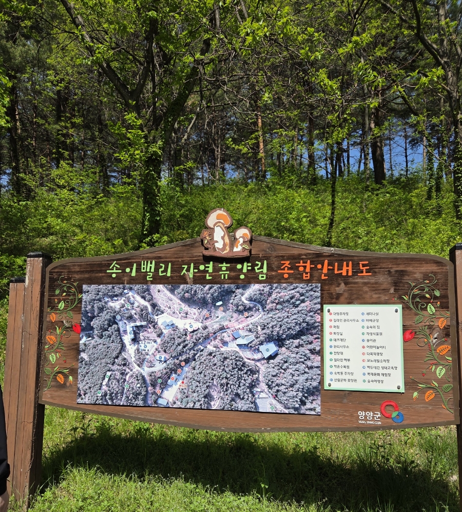 레포밸리 이미지
