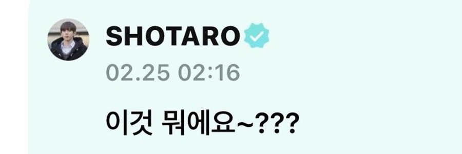 땡벌 이미지