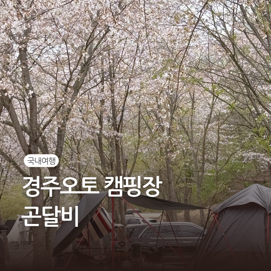 곤달비캠프 이미지