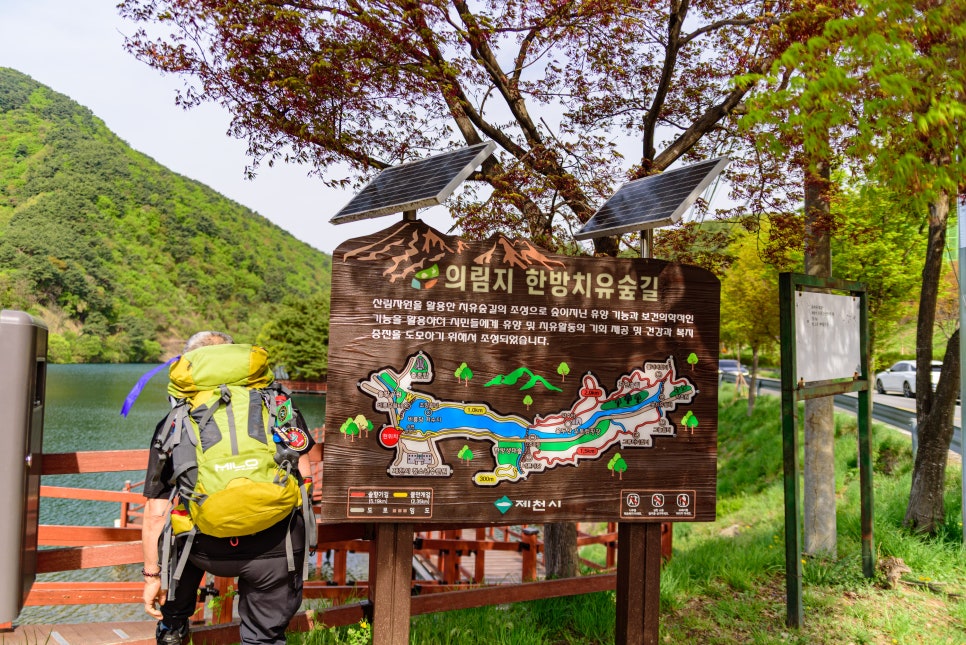 의픔장어 이미지