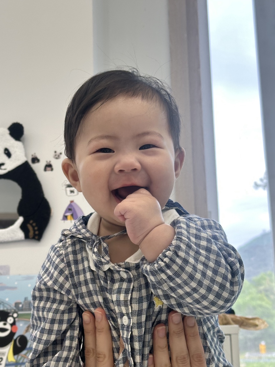 초록토끼가 이미지