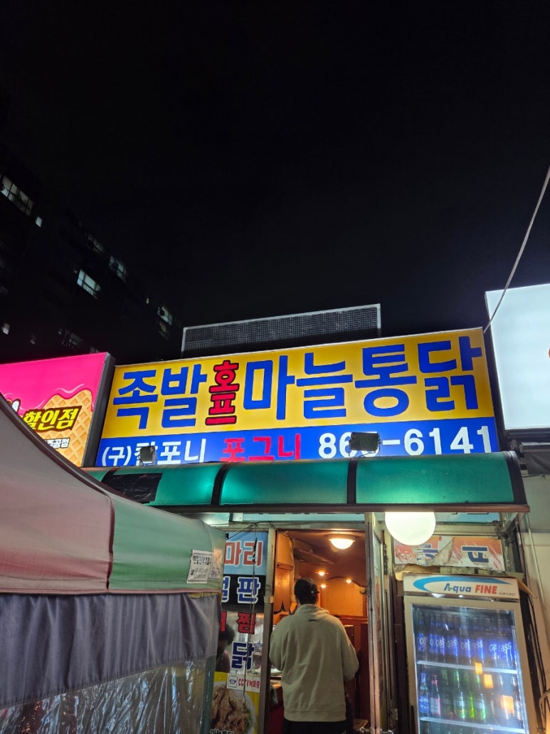 포그니 사진 7