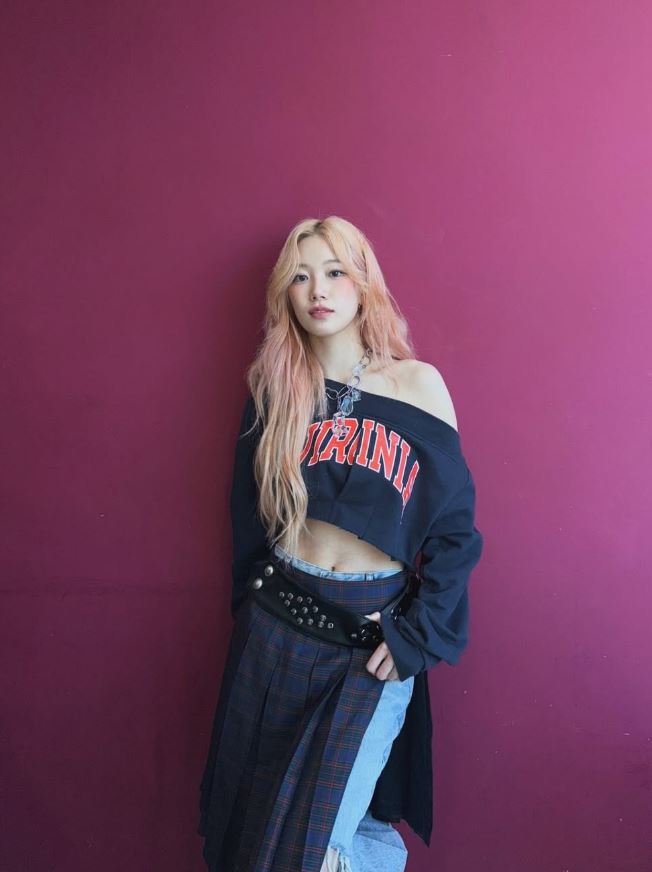 르무드헤어 이미지