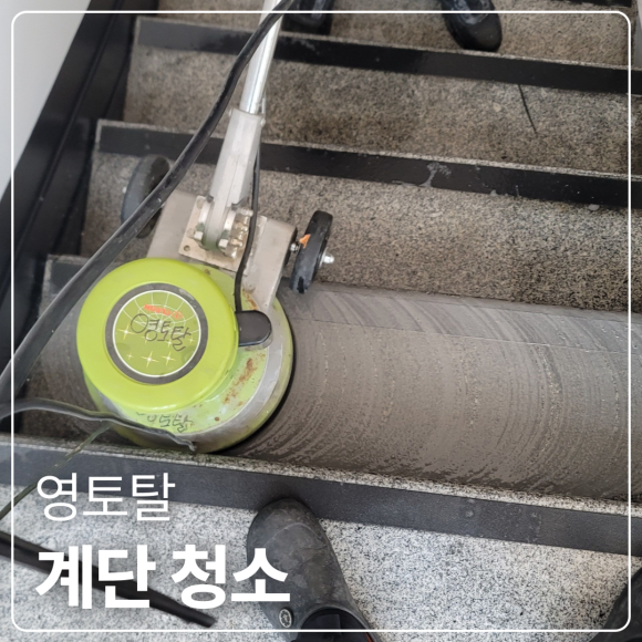 영토탈 이미지