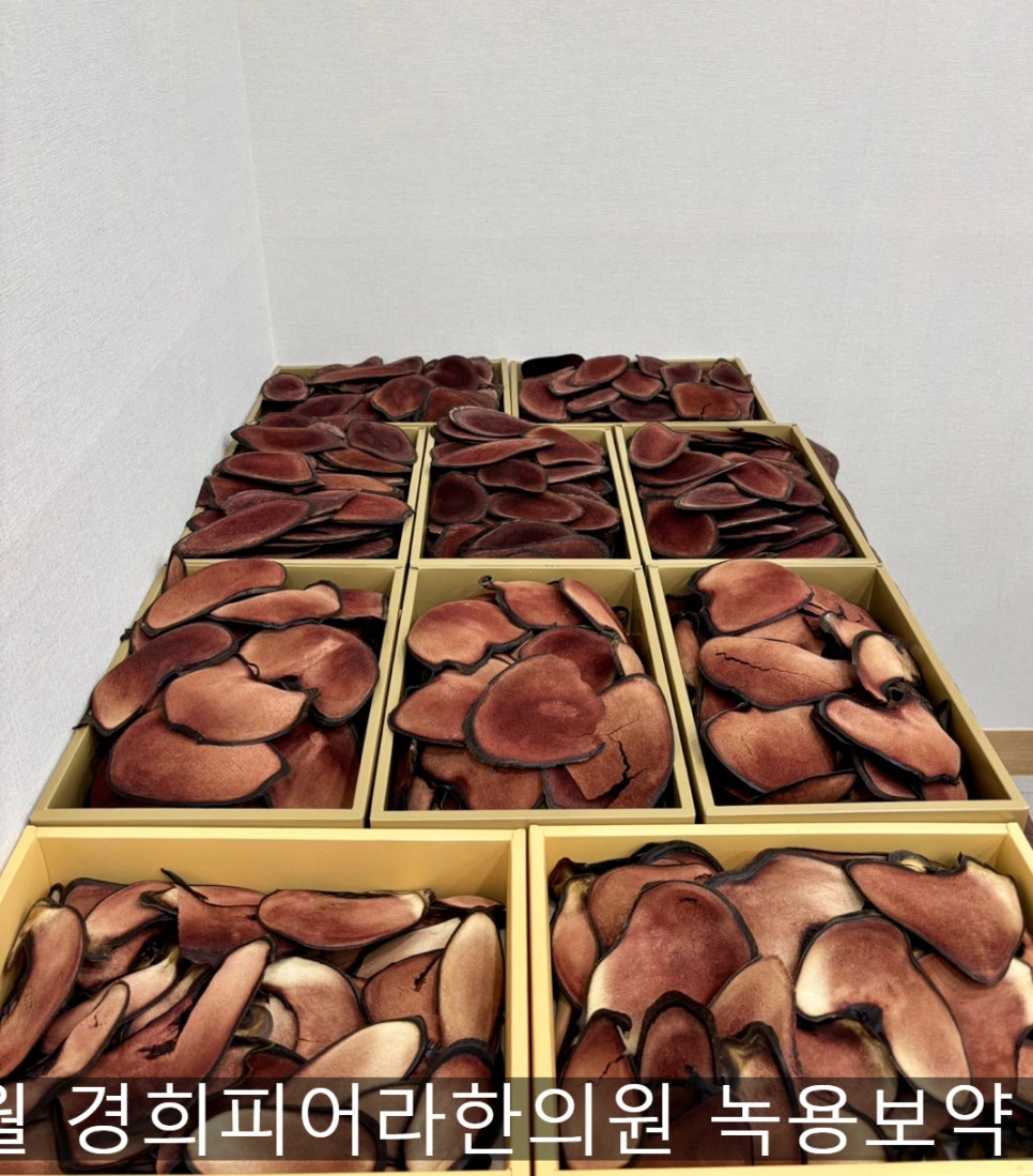 경희피어라한의원 이미지