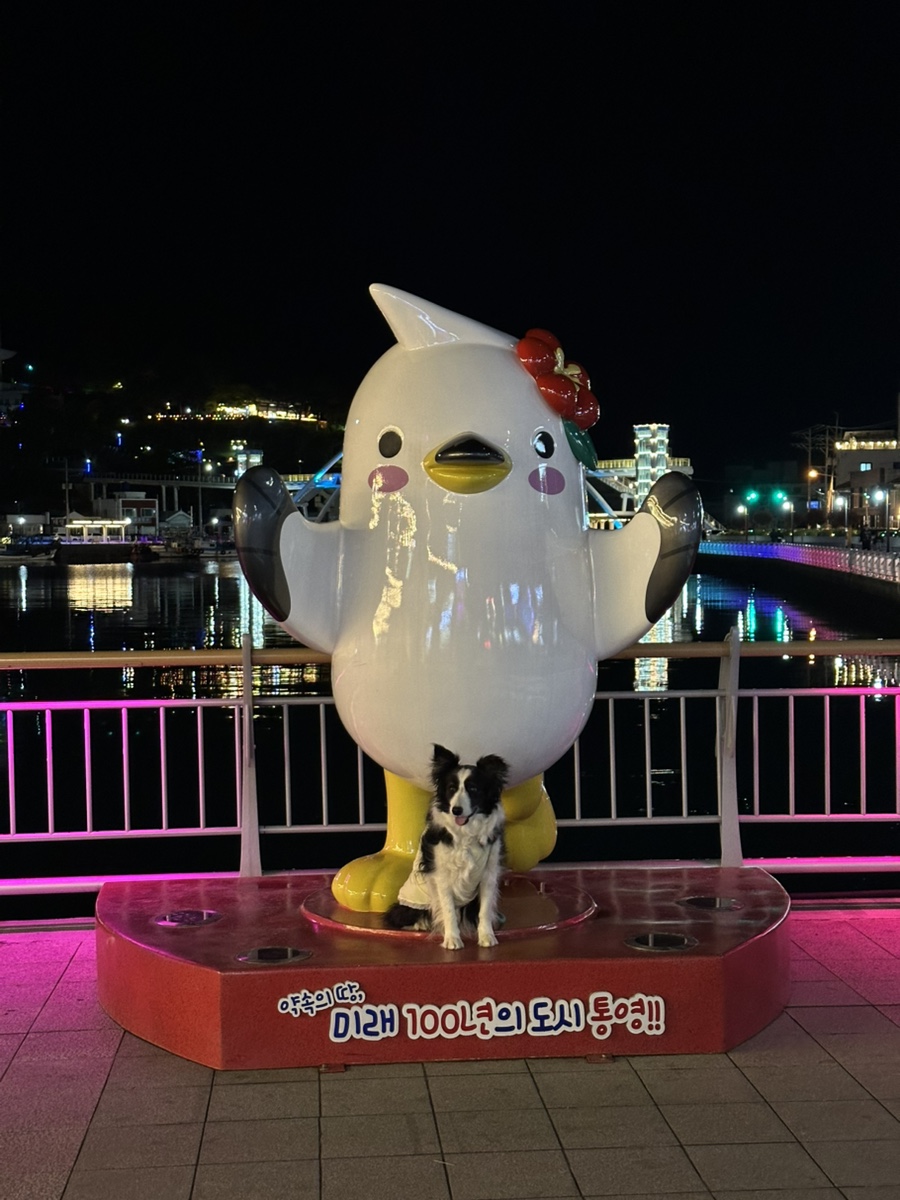 요고조고마켓 이미지