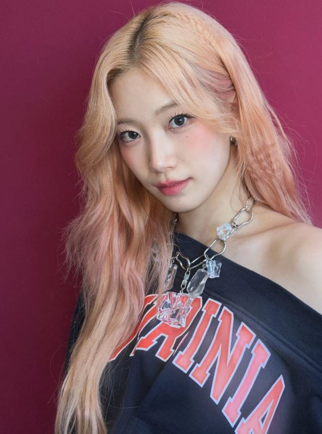 르무드헤어 이미지
