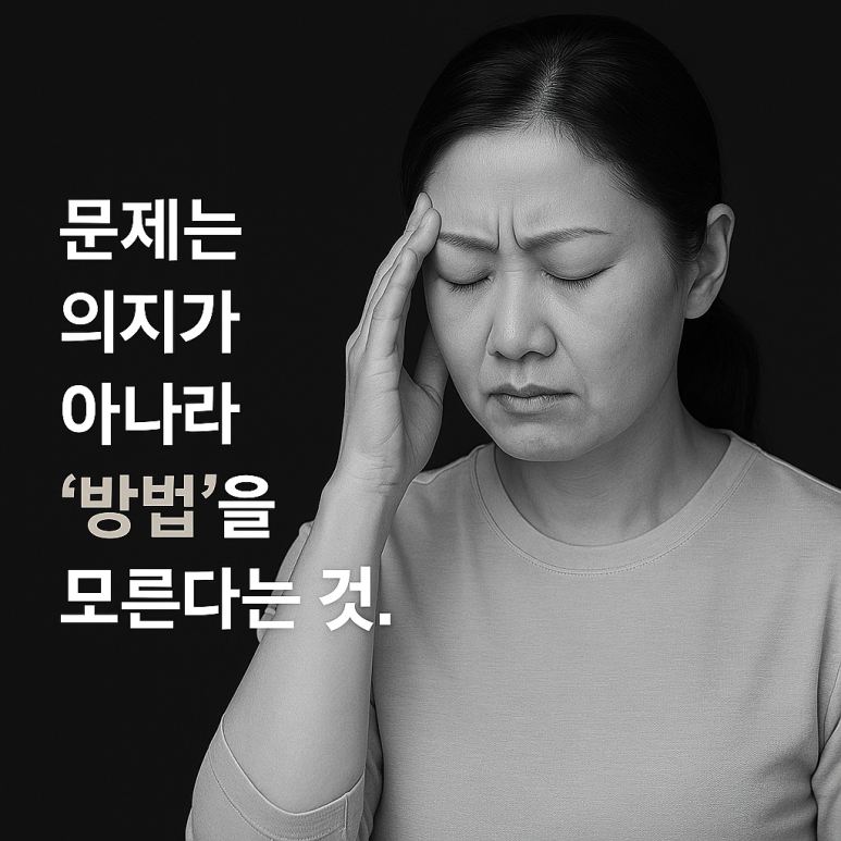 제주중앙중학교 이미지
