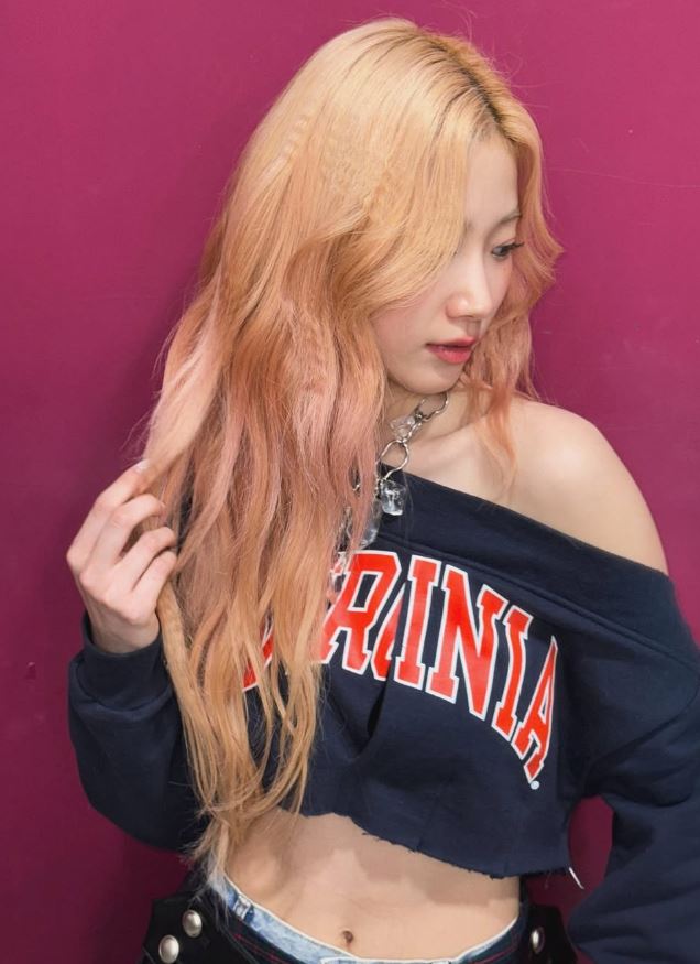 르무드헤어 이미지
