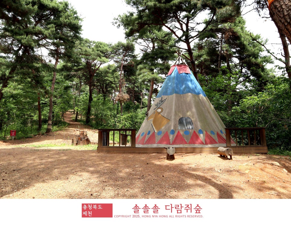 솔솔솔 다람쥐숲 유아숲체험원 이미지