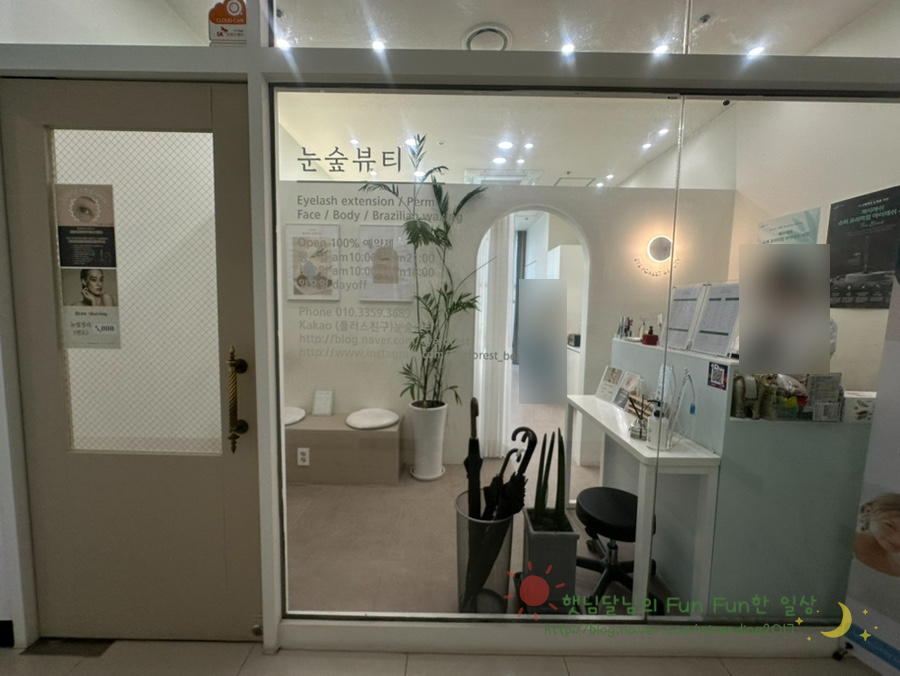 눈숲 이미지