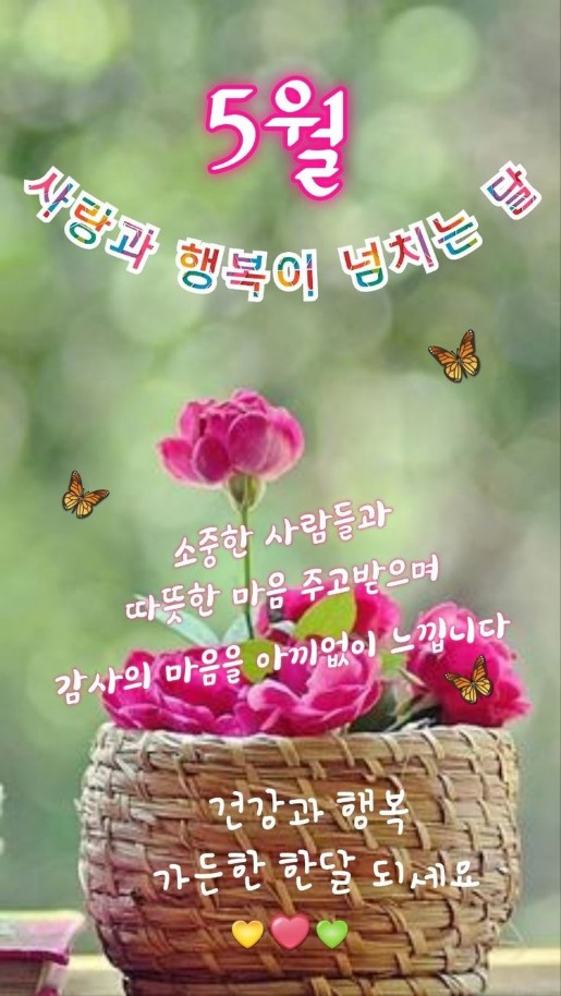 푸른꿈 이미지