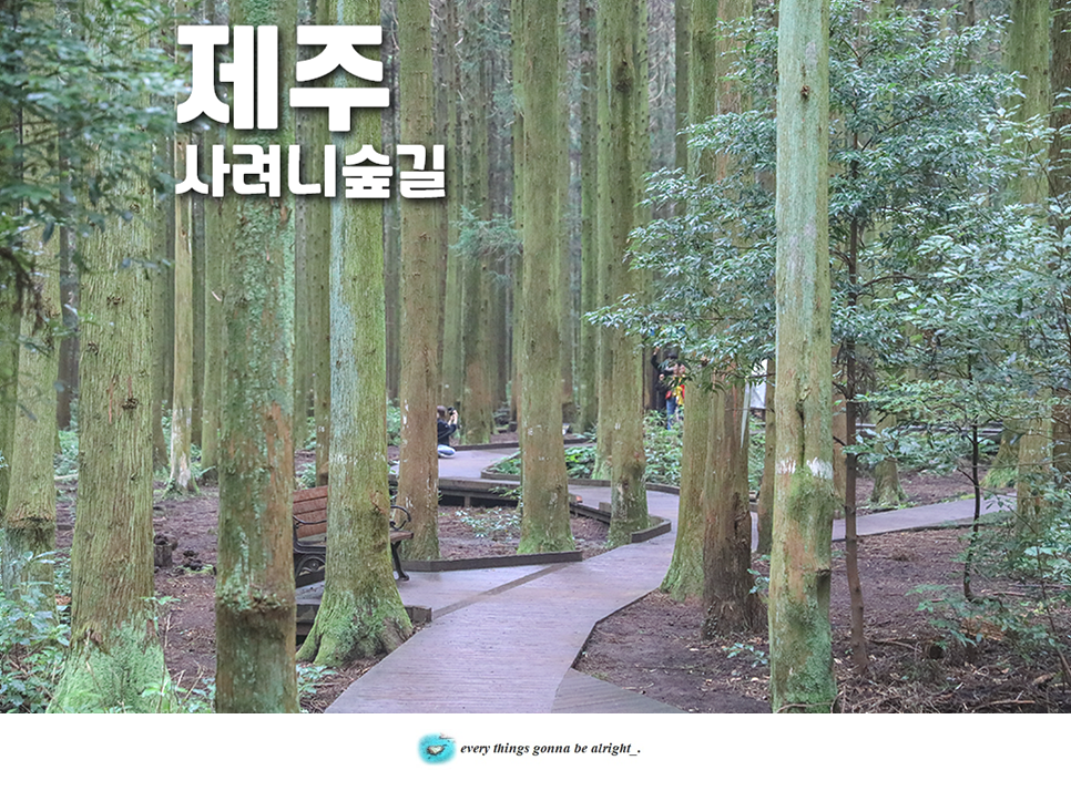 바다숲 풀내음 이미지