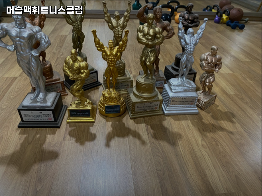 머슬맥휘트니스클럽 이미지