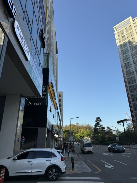 노성일참치 이미지