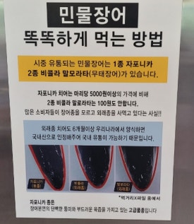 정선애장어먹으러와요 이미지