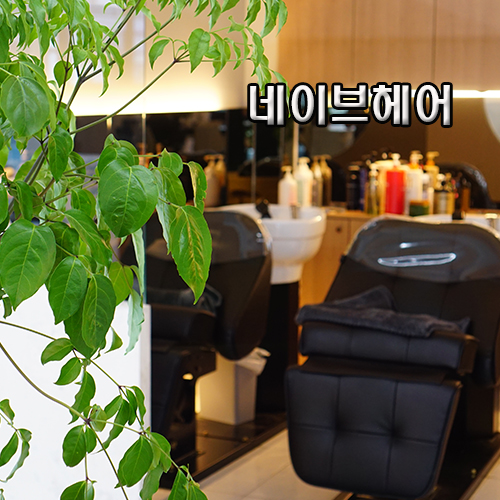 네이브헤어 이미지