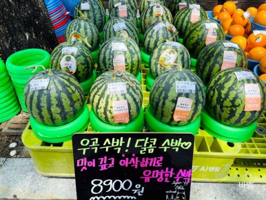 소문난야채과일 이미지