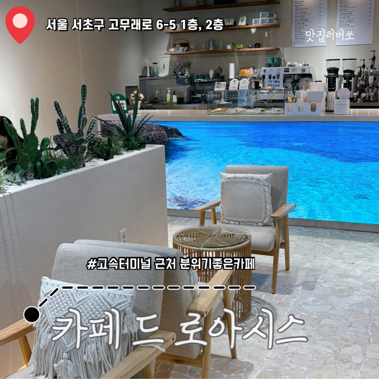 로아시스 이미지