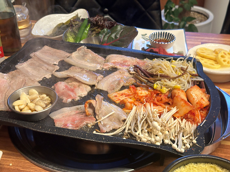 고냉삼 이미지