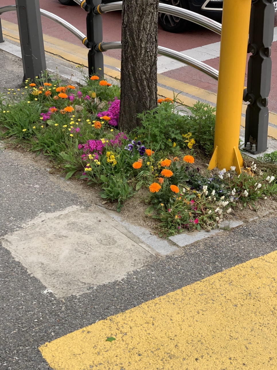 아이스크림할인마트빙고푸드 이미지