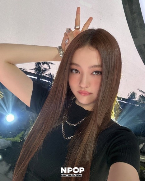 엘라헤어 이미지