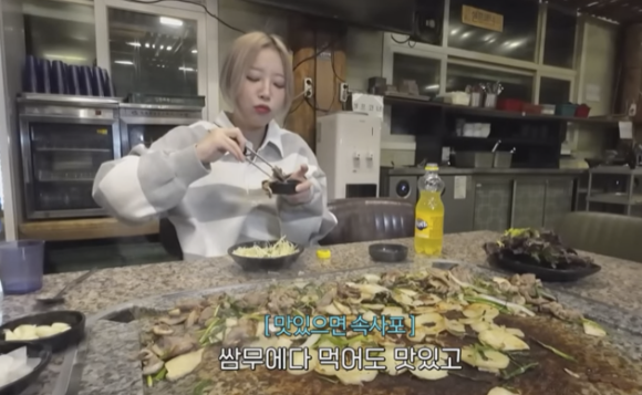황금오리 이미지