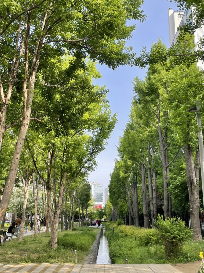숲길 이미지