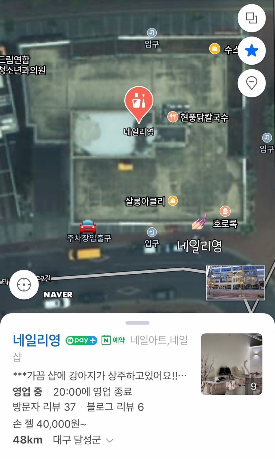 네일리영 이미지