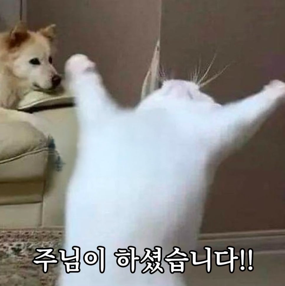 빼꼼이네 이미지
