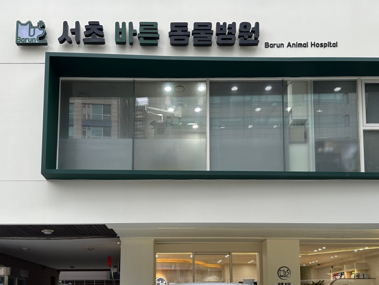 서초바른내과 이미지