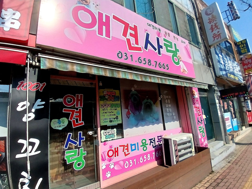 1001양꼬치 이미지