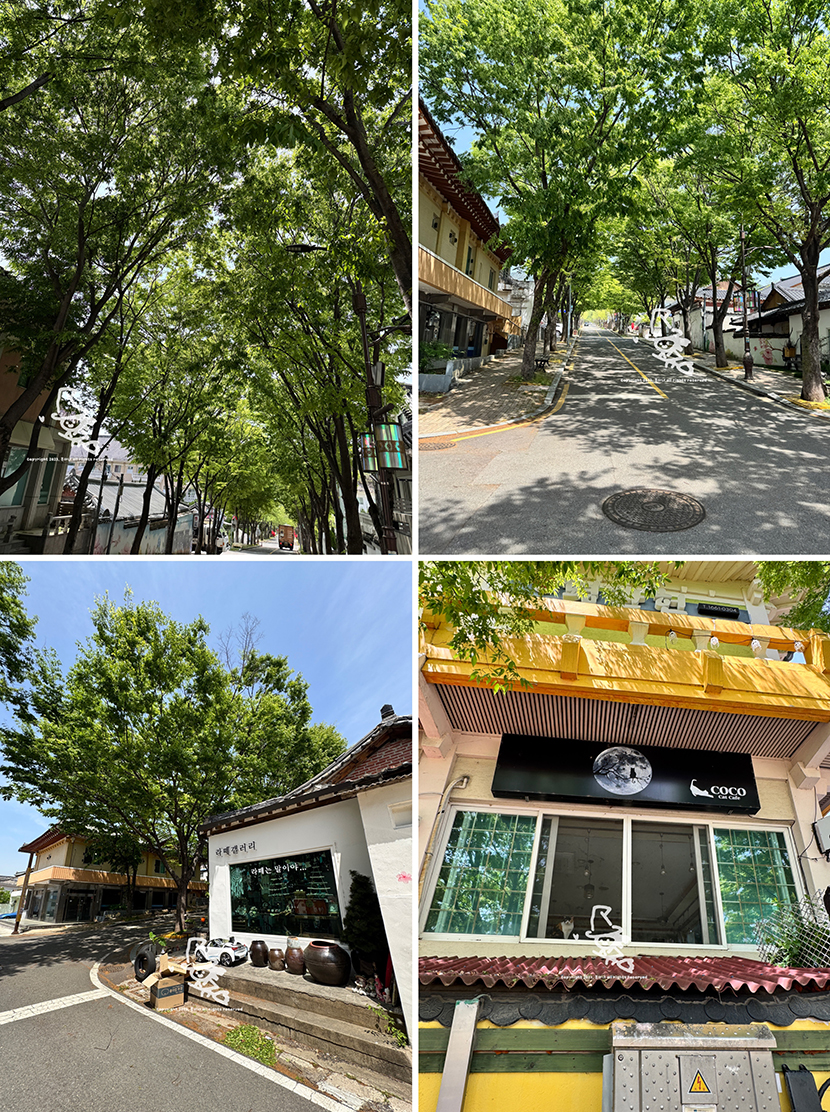스테이동주 이미지