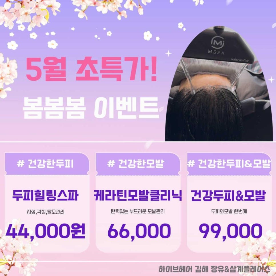 더하이브헤어 이미지