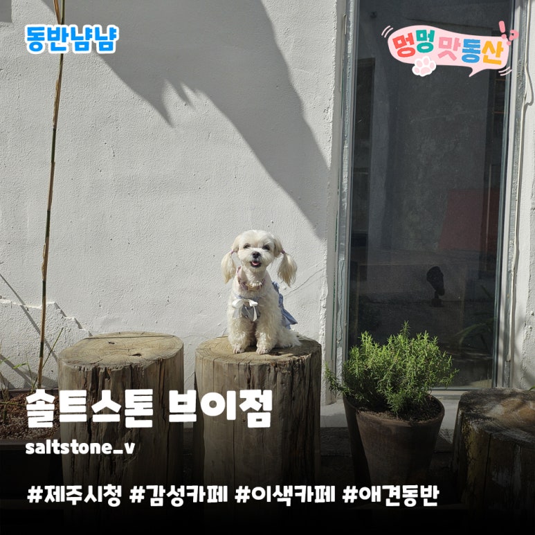 솔트스톤브이점 이미지